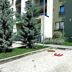 4Friendscoresibrasov